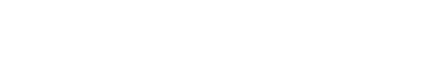 APIS Consulting