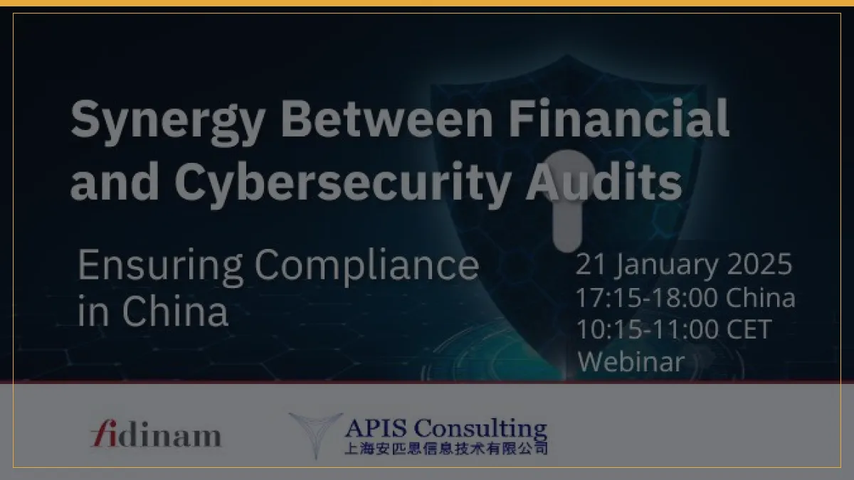 Synergy between Financial and Cybersecurity audits